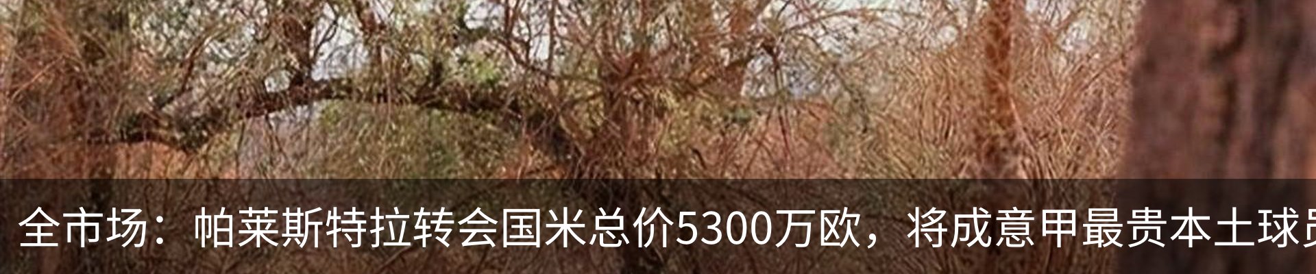 新闻动态